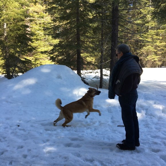 Cute Ralph Lauren navy and white top! - Picture 5 of 15